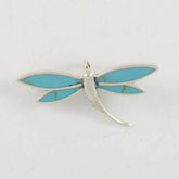 Turquoise Wings Dragonfly