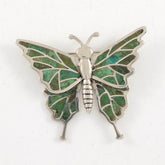 Malaquite Wings Butterfly