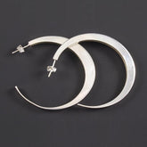 Elegant Plain Earrings