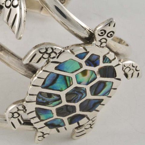Abalone Shell Turtles