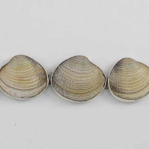 Shells Bracelet