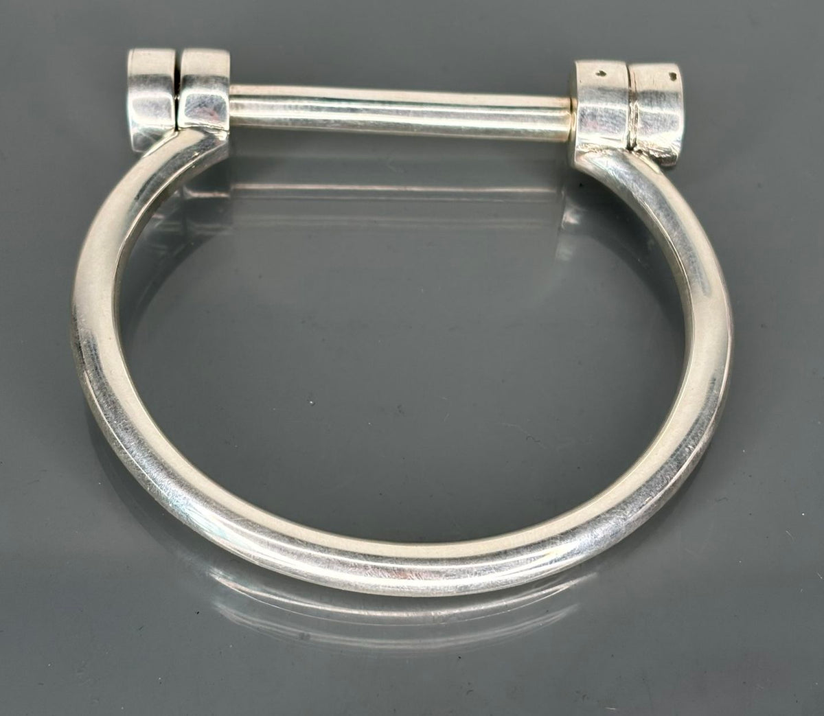 Horseshoe Bracelet