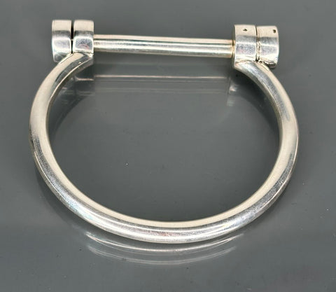 Horseshoe Bracelet